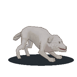 0002.gif