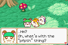 0005.PNG