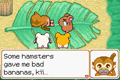 0005.PNG