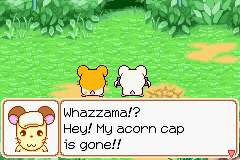 0011.PNG