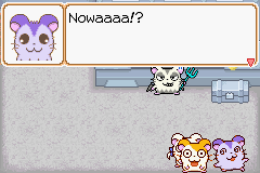 0013.PNG