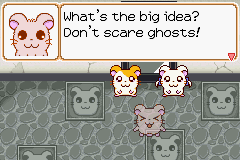 0019.PNG