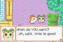 0020.PNG