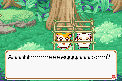 0021.PNG