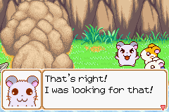 0033.PNG