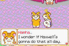 0033.PNG