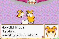 0036.PNG