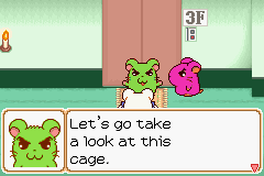 0046.PNG
