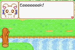 005.PNG