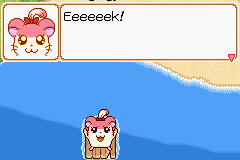 0051.PNG