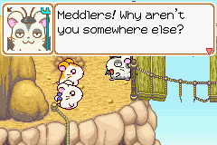 0061.PNG