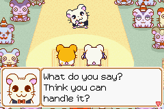 0062.PNG