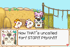 0063.PNG