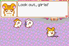 0065.PNG