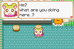 015.PNG