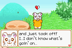 018.PNG