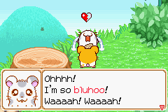 019.PNG