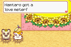 020.PNG