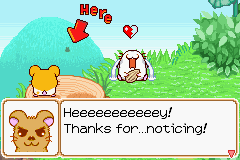 020.PNG