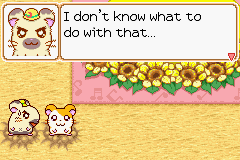 021.PNG