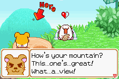 021.PNG