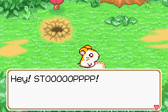 024.PNG
