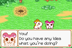 025.PNG