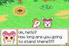 026.PNG