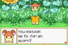 033.PNG