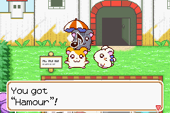 033.PNG