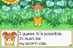 034.PNG