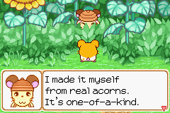 035.PNG