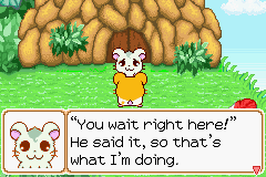 038.PNG