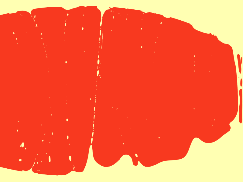 04167.gif