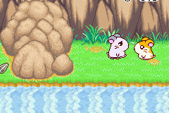 044.PNG