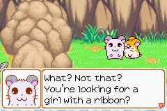 047.PNG
