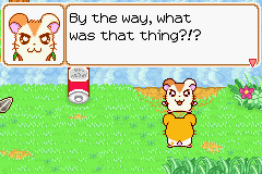 061.PNG