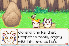 074.PNG