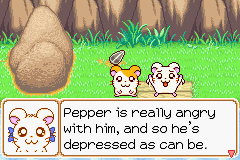 075.PNG