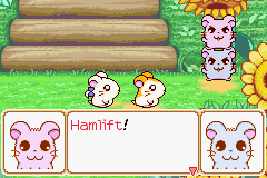081.PNG