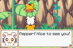 082.PNG