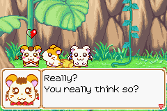094.PNG