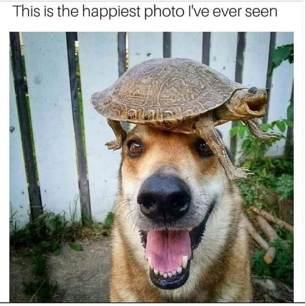 0vmGHKe.jpg