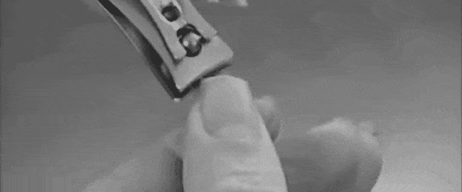 -1.gif