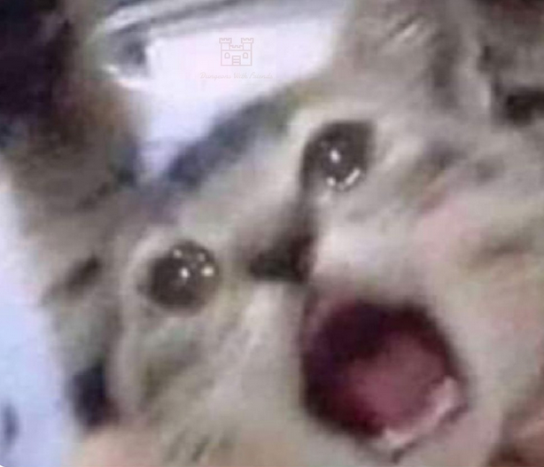 1.PNG