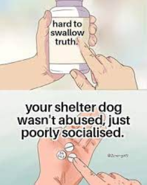 1.PNG