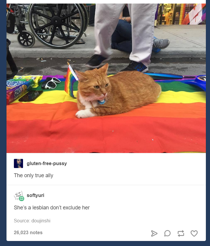 1.PNG