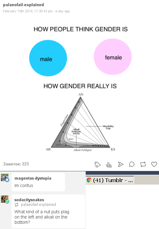 1.PNG
