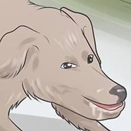 689794