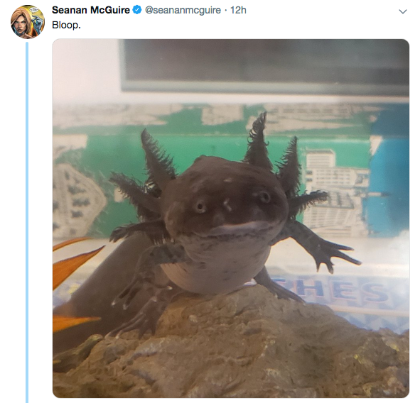 746725
